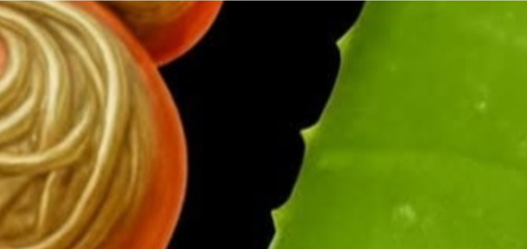 Unlock the Secret Power of Aloe Vera and Honey Natures Ultimate Bacteria and Fungi Fighter