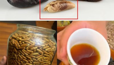 Date Seed Coffee: A Caffeine-Free Alternative with Surprising Benefits