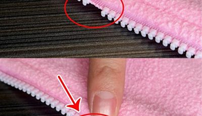 Fix a Broken Zipper in Just 1 Minute — No Tailor Needed!