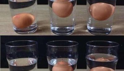 5 ways to tell if an egg is fresh or rotten