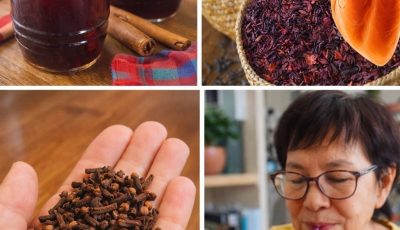 Discover Simple Ways to Add Cloves and Hibiscus Tea to Your Daily Wellness Habits for Natural Support