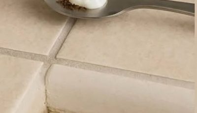 Say Goodbye to Pests: This Simple Bathroom Trick Keeps Insects Out — Naturally