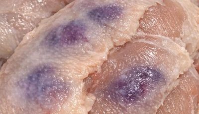 Thawed chicken breasts and noticed purple blotches under the skin. Safe to cook or throw out