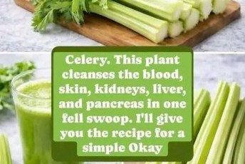 Cleanses the Liver 150 Times More Powerful Than Garlic and Lemon: Grandma’s Miracle Recipe