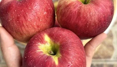 Doctors Reveals That Eating Apples Causes
