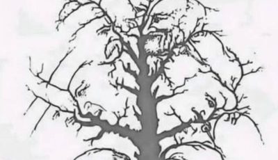 Why Optical Illusions Continue to Fascinate the Mind—and How the “National Leaders Tree” Tests Your Perception