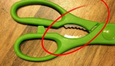 What Is That Weird Toothed Part on Kitchen Scissors For? (You’ve Been Ignoring a Genius Tool)