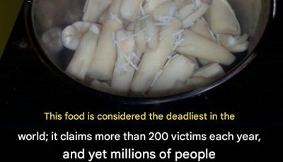 It is considered the deadliest food in the world, killing more than 200 people each year — and yet, it continues to be consumed.