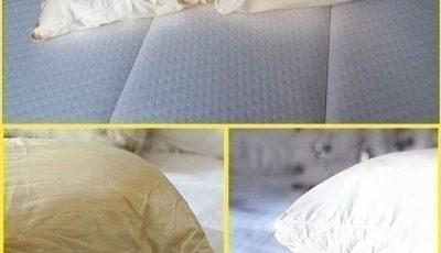 HomeHere’s how to clean dirty pillows from bed to leave them white and sweet scent… Here’s how to clean dirty pillows from bed to leave them white and sweet scent…