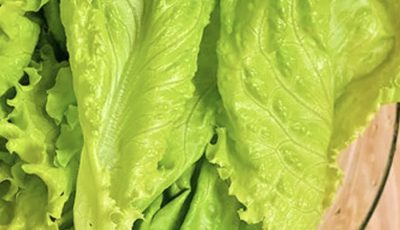 Doctors Reveal That Eating Lettuce in Winter Can Increase Health Risks