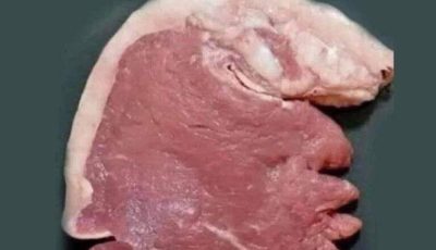 What Do You See First?
