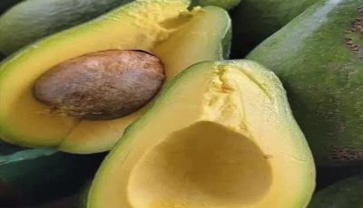 Doctors Reveal That Eating Avocados