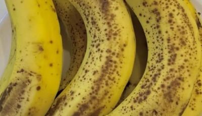 Doctors reveal that eating bananas in the evening leads to… See below 