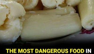 Toxic if improperly prepared: another side of a widely consumed food worldwide
