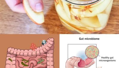A Simple Fermented Apple Recipe for Gut Health, Immunity, and Natural Energy