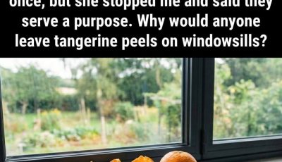 Don’t Toss Those Tangerine Peels—Put Them on Your Windowsills Instead