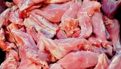 Moroccan Rabbit Stew