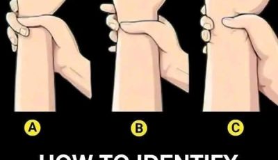 Bo.dy Types: Are You Ectomorph, Mesomorph, or Endomorph?