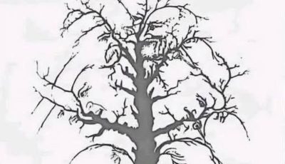 Find all the hidden faces in this optical illusion in less than 10 seconds — and you’ll be among the top 1% of viewers.
