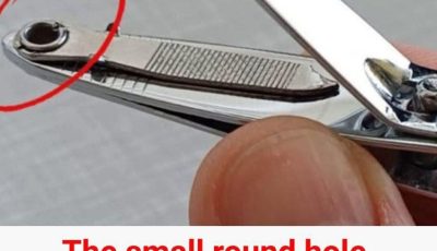 Why That Small Round Hole on Your Nail Clipper Matters – Especially for Older Adults
