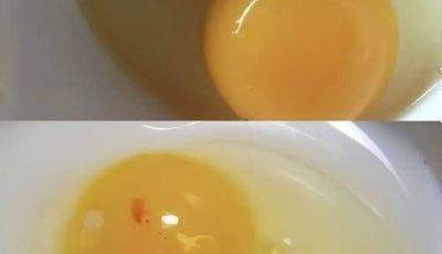 The Truth About Those Red Spots in Your Eggs: Are They Safe to Eat?