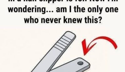 The “small round hole” on the nail clipper has special and powerful uses!!