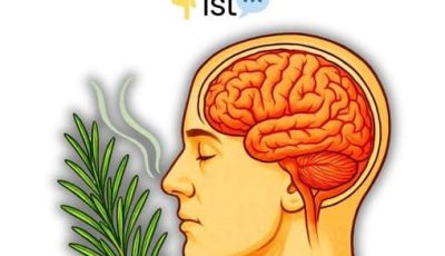 Does Sniffing Rosemary Really Boost Memory