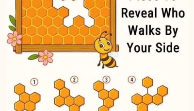 Find The Missing Honeycomb Piece To Reveal Who Walks By Your Side