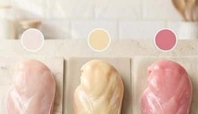 The Truth About Chicken Color and What It Says About Quality