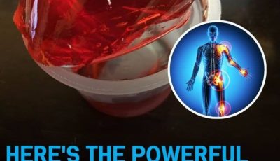 Why Gelatin Deserves a Place in Your Diet