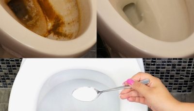 The stubborn limescale in the toilet disappears with this ingredient