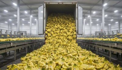 Play Experts reveal that eating bananas in the morning cause