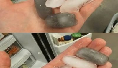 Why Are Ice Cubes in My Fridge Gray? (And How to Fix It Fast!)