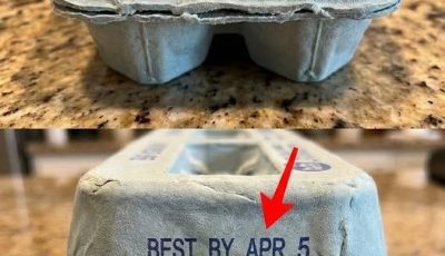 What the Numbers on Your Egg Carton Really Mean — And Why Ignoring Them Could Make You Sick