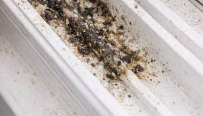 My mom taught me this trick to clean dirty window tracks with 0 effort. Here’s how it works