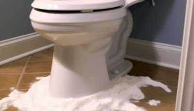 Lady sprays shaving cream around toilet bowl for this brilliant reason