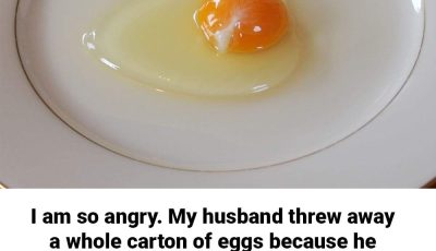What Is That White String in an Egg