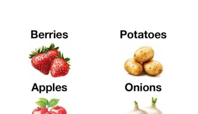 10 things to always refrigerate & 10 things to never refrigerate