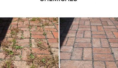 How to Eliminate Weeds Naturally and Forever