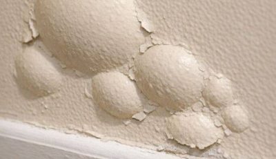 Found these strange bubbles forming under the paint on my wall near the floor. They feel soft to the touch and seem to be getting bigger—is this a reaction to humidity or something worse?