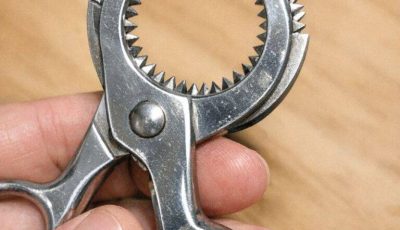 Found these strange scissors in the cutlery drawer. They have a circular opening with teeth instead of blades. Does not cut paper.