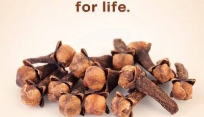 Did You Know the Surprising Benefits of Drinking Clove Tea?