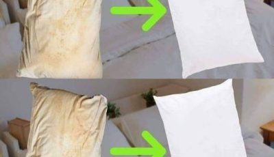 Here’s how to clean dirty bed pillows to leave them white and smelling sweet.
