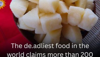 How Eating This Food Affects Elderly Health