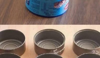 Don’t throw away your cans of tuna anymore: they’re worth their weight in gold if you reuse them this way!