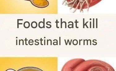 7 Foods That Kill Worms in the Intestine