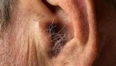 DID YOU KNOW? If hair grows on your ears, it’s because your body is…