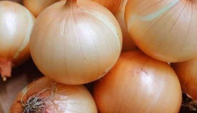 6. Contains Compounds Studied for Cancer Prevention
