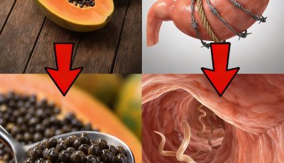 The Overlooked Superfood in Your Fruit Bowl: 14 Amazing Benefits of Papaya Seeds That Could Transform Your Daily Wellness