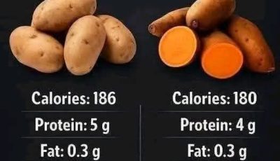 clear comparison between white potatoes and sweet potatoes